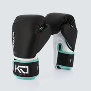 Gants de boxe Kronos EVO