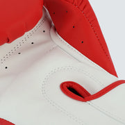 Gants de boxe Kronos EVO